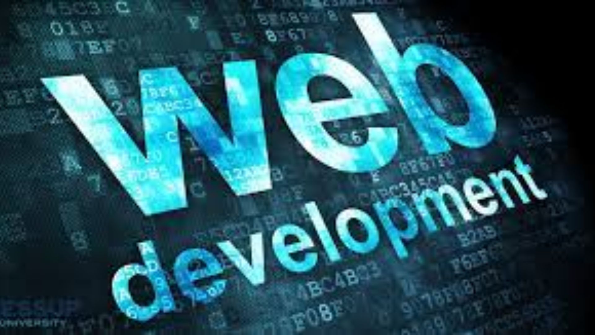 How to Learn Website Development ?